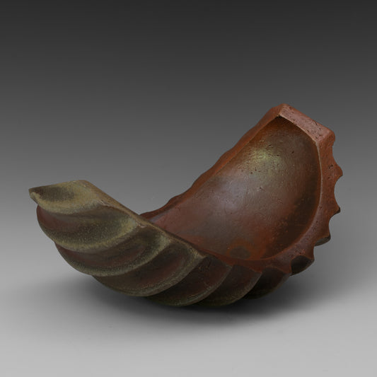 (#36) Ridged Fragment 2