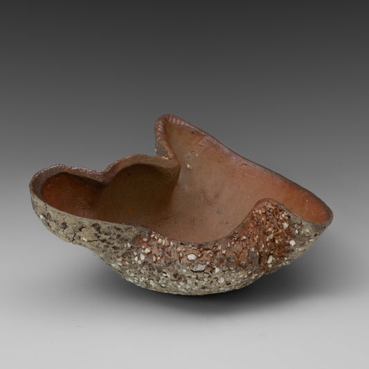 (#37) Caterpillar Shell