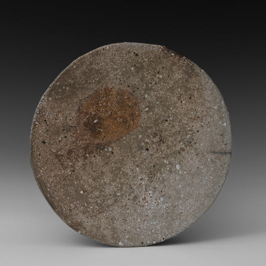 (#49-1) Rock Plate