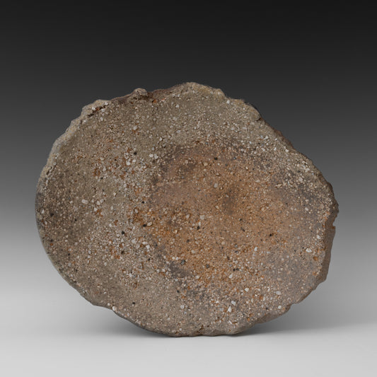 (#49-2) Rough Rock Plate