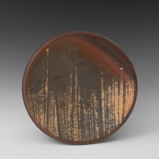 (#68) Small Field Plate 1