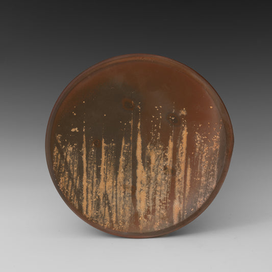 (#69) Small Field Plate 2