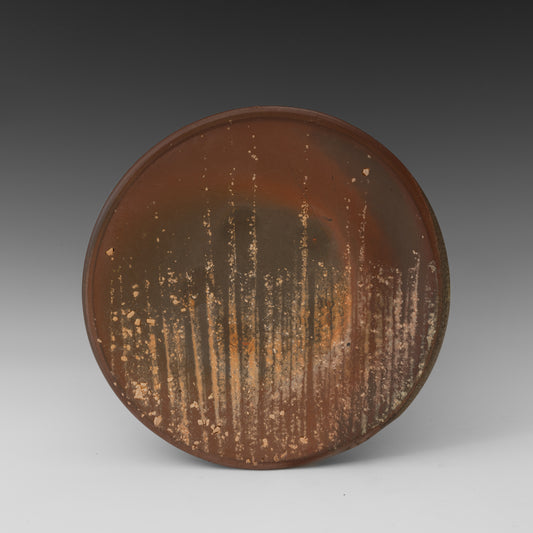 (#70) Small Field Plate 3