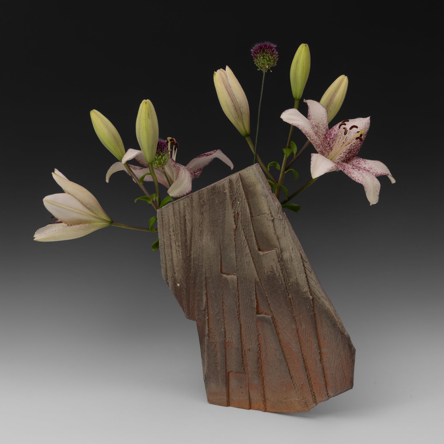 (#10) Escarpment Vase