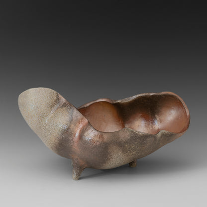 (#23) Caterpillar 1