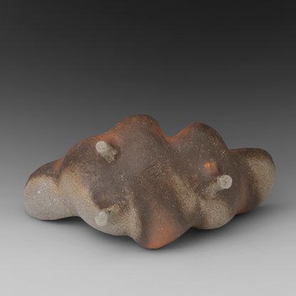 (#24) Caterpillar Pod