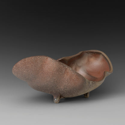 (#26) Night Caterpillar