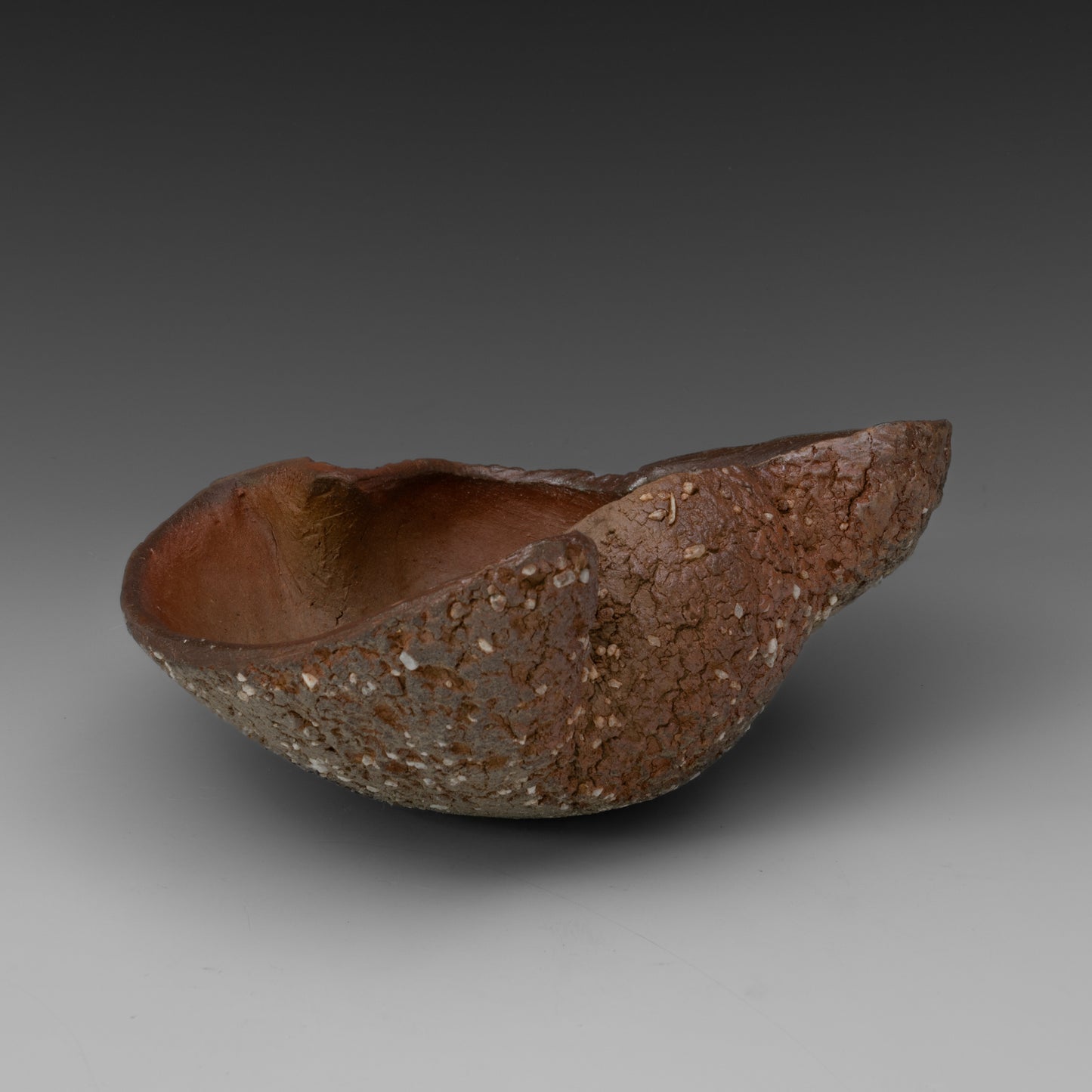 (#37) Caterpillar Shell