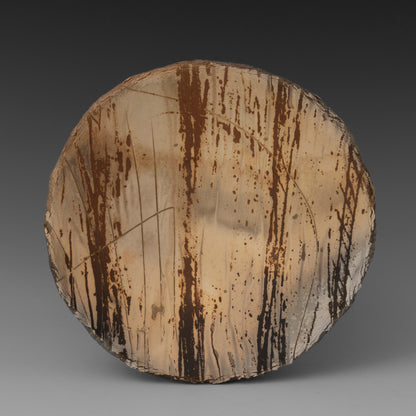 (#60) Field Plate 1