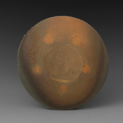 (#61) Field Plate 2