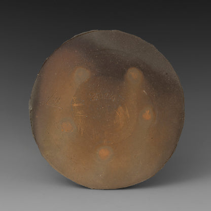 (#62) Field Plate 3