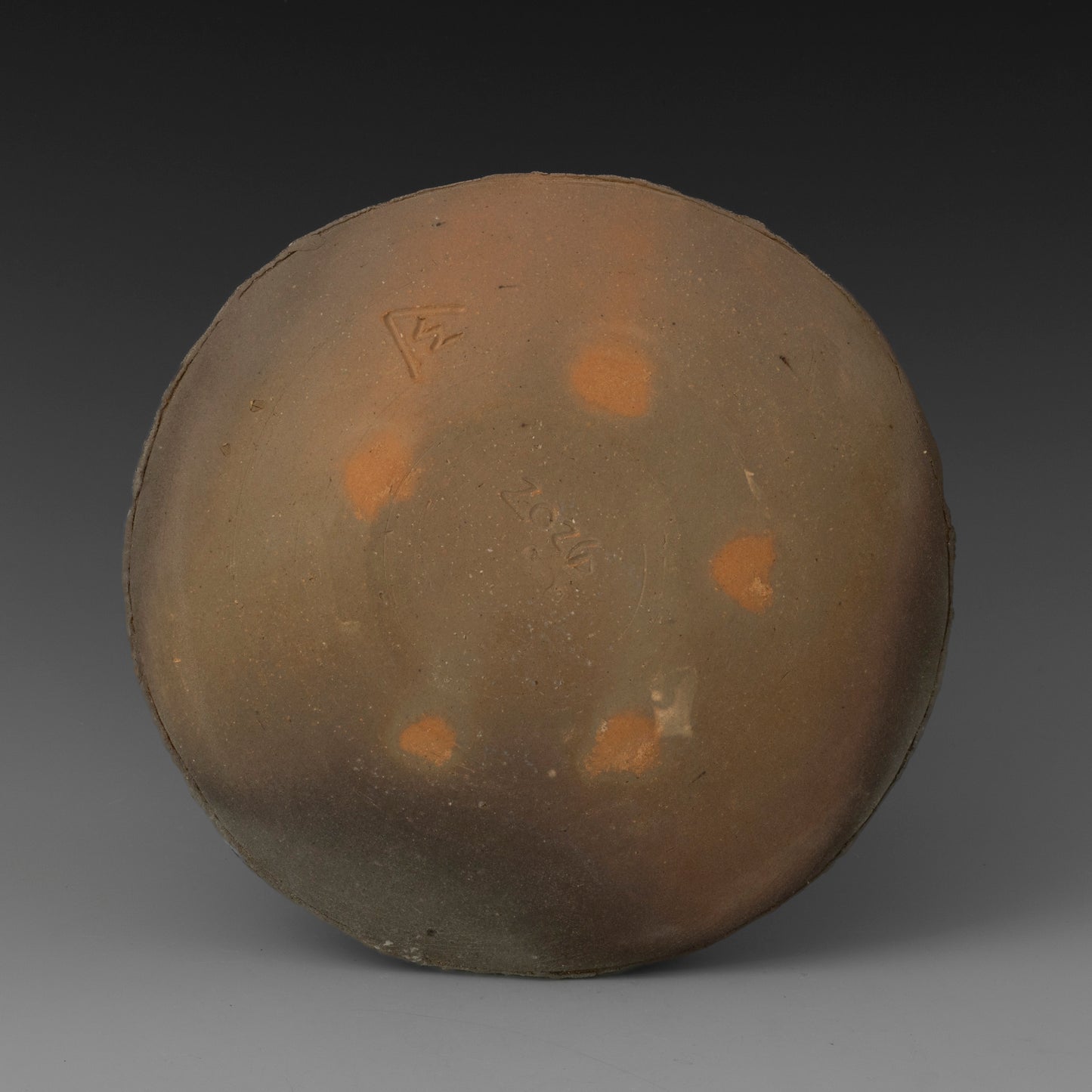 (#63) Field Plate 4