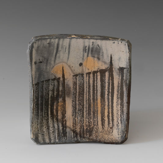 Field Plate 1 [small]